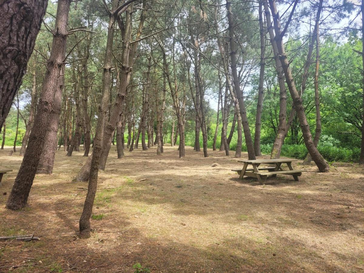 La Vallee Créances Dış mekan fotoğraf